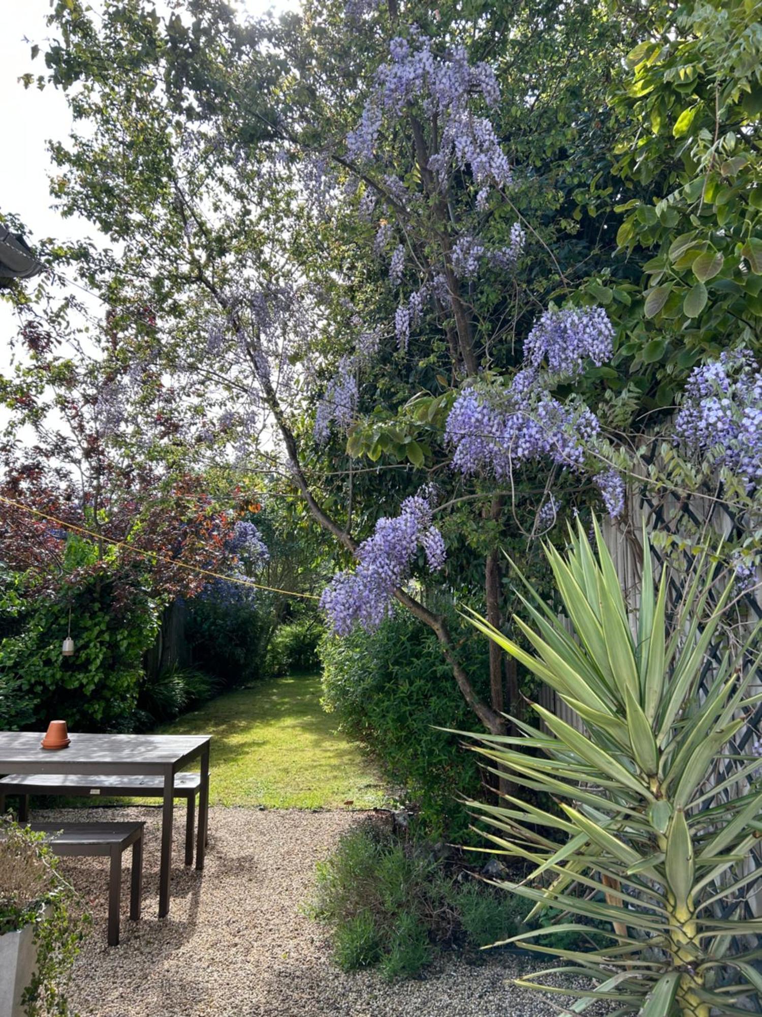 Sea Song Cottage Broadstairs Exterior foto